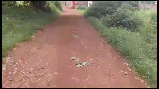 Kigali kicukiro gahanga 4000sqm zigurishwa 110M ahantu heza imiturire R3 kubindi 0787173458 [upl. by Forest411]