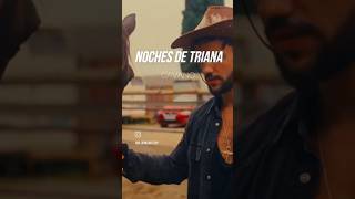 Lo nuevo de CAVANOOFICIAL  NOCHES DE TRIANA [upl. by Tadich]