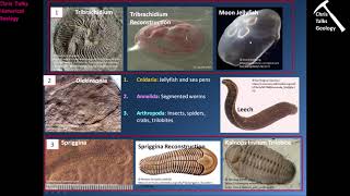 Precambrian Earth and Life History The Proterozoic Eon Part 2  Part 3 [upl. by Notsle559]