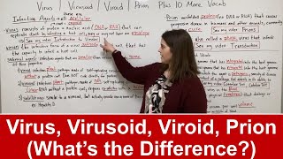 Viroid  Virusoid  Virus  Prion PLUS 10 MORE RELATED VOCAB [upl. by Nazler627]