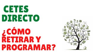 ¿Cómo retirar yo cómo programar retiros en Cetes Directo Tiempos de retiro y depósito​ [upl. by Ebarta]