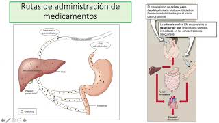 Farmacocinética y Farmacodinamia [upl. by Fini308]