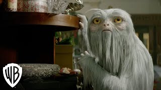 Creatures Demiguise  Fantastic Beasts and Where to Find Them  Warner Bros Entertainment [upl. by Arretnahs]