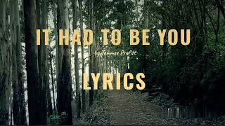 It had to be you LYRICS  Tommee Profitt  Lyricscreations [upl. by Cordalia]