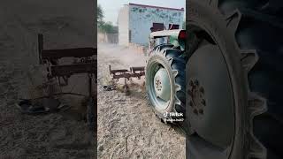 Tractor man Vs King Cobra 2025 foryou foryoupage cobra viralvideo cobras viralvideos viral [upl. by Danny13]