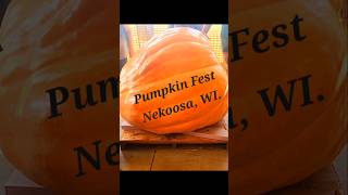 1000lb plus pumpkins at quotThe Pumpkin Festquot [upl. by Meekyh655]