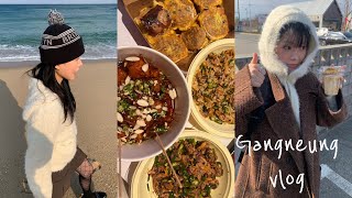 vlog 강릉여행 브이로그  강릉1박2일  강릉맛집 장칼국수 갤러리밥스 테라로사 엄지네포장마차 중앙시장 베니닭강정 쉘리스커피  커플브이로그  강문해변🌊 [upl. by Koch]