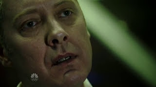 Best Monologue EverRaymond Reddington [upl. by Ullman]