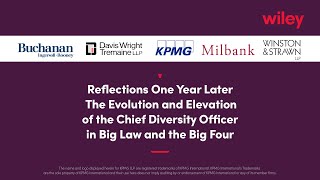 Reflections One Year Later The Evolution of the Chief Diversity Officer in Big Law and the Big Four [upl. by Etnoled100]