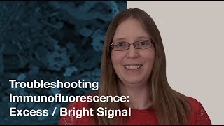 Troubleshooting Immunofluorescence Excess Bright Signal  CST Tech Tips [upl. by Tova341]