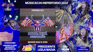 BOI DE AXIXÁ  Música Tema 2023  Composição Verônica Lima [upl. by Anhcar]