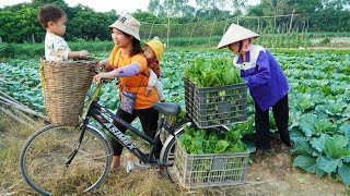 Harvest Green Vegetables Goes to Market Sell  Cooking  Gardening Daily life  Ly Thi Ngoan [upl. by Redwine626]