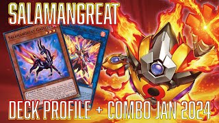 YUGIOH Salamangreat Deck Profile amp Combos JAN 2024 [upl. by Yemorej]