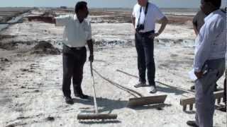 Salt harvesting in Tuticorin India [upl. by Nahej928]