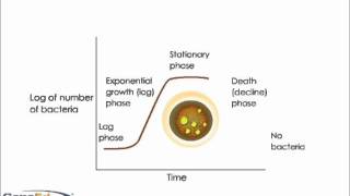 Growth curve of Bacteria [upl. by Biddie282]