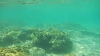 Amboula beach  Tragaki  Zakynthos Island  Underwater experience [upl. by Marven]