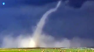 WATCH Tornadoes touch down across Alberta [upl. by Nageet171]