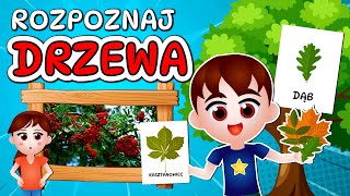 🌳 Kazio i DRZEWA film edukacyjny dla dzieci  Rozpoznawanie drzew  Zagadki 🌳 [upl. by Nola]