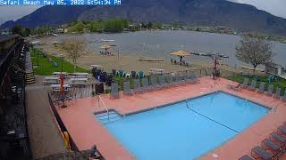 Safari Beach Resort Osoyoos BC Live Stream [upl. by Tybald534]