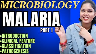 Malaria  Malaria test  Malaria life cycle  Malaria microbiology [upl. by Nimsaj]