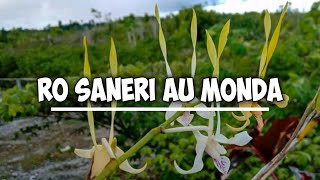 LAGU DAERAH PAPUA  ROSANERI AU MONDA [upl. by Enait]