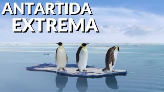 Documental Antartida Extrema [upl. by Tessi555]