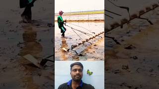 🤔விதை விதைக்க சூப்பர் ஐடியா⁉️  Super Farm Idea💯 trending seedsowing tipsandtricks ideas shorts [upl. by Lull]