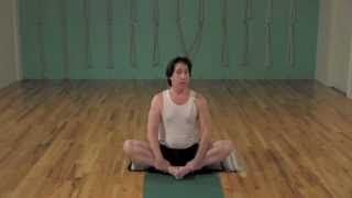 10 minute Beginning Iyengar  FREE Iyengar Yoga Class [upl. by Dyoll]