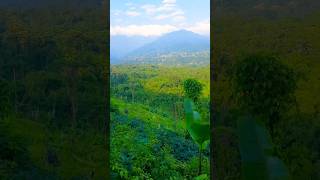 Namdapha National Park View from top [upl. by Nyrb292]