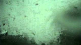 Green Sky Tornado  Micro Burst New York City 2010 Close lightning strike Tornado caught on Tape [upl. by Kasper277]