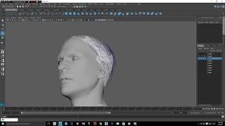 Ornatrix Maya Male head and facial hair tutorial [upl. by Aklim]