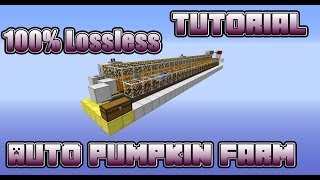 Tutorial  Auto Pumpkin Farm  Simple  100 Lossless [upl. by Rebmik]