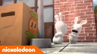 Les lapins crétins  Invasion  Le camouflage  Nickelodeon France [upl. by Drof]