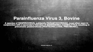 Medical vocabulary What does Parainfluenza Virus 3 Bovine mean [upl. by Huberty304]