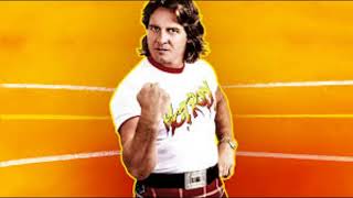 Roddy Piper Theme [upl. by Marras589]