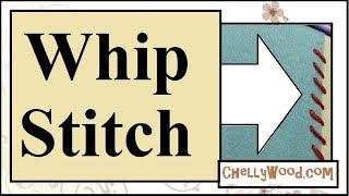 Hand Embroidery Stitch Whip Stitch Tutorial [upl. by Niehaus368]