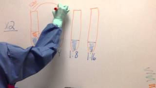 Serial Dilution Calculation [upl. by Ainigriv]