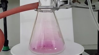 Cours de Chimie 1S Cohésion du solide 335  Sublimation du diiode [upl. by Akins]