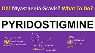 Pharmacology  Pyridostigmine  Myasthenia Gravis  How It Works [upl. by Ennahoj]