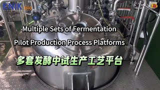 Multiple Sets of Fermentation Pilot Production Process Platforms fermenter bioreactor centrifuge [upl. by Nauqit]