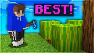 Best Melon Farm  Minecraft Skyblock  AkumaMC [upl. by Eikciv782]