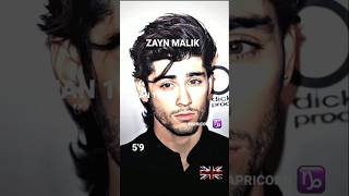 🔥Zayn Malik🔥Attitude WhatsApp Status Zayn Malik Pillowtalk 🥵 High Note zayn [upl. by Areta]