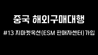 온라인 부업 투잡에 관심있고 간절하신 분만 봐주세요 중국 해외 구매대행 13 지마켓 옥션 esm판매자센터 가입 [upl. by Avery993]