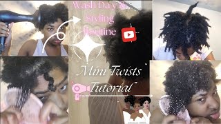 Mini Twists Tutorial The Ultimate Wash Day amp Styling Guide [upl. by Cacilia]