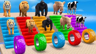 5 Giant Animals Cartoon Cow Elephant Lion Gorilla Paint Wild Animal Crossing Fountain Animation [upl. by Calendre]