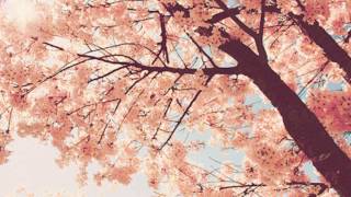 Epitone Project  Spring Day Cherry Blossoms amp You [upl. by Simetra]