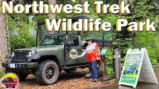 Northwest Trek Wildlife Park Premier Keeper Adventure Tour  NW Trek Wildlife Park  Washington [upl. by Odnolor839]