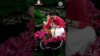 என்னவென்று சொல்வதம்மா வஞ்சி அவள் பேரலகை பாடல்90s TAMIL LOVE SONG WHATSAPP STATUS💝💝💝 [upl. by Esereht]