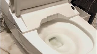 TOTO SW4736AT4001 WASHLET Electronic Bidet Toilet Seat Review The Best Toilet Seat Bidet [upl. by Jocelyne577]