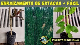 ENRAIZAMENTO DE ESTACAS  FÁCIL [upl. by Ovid]